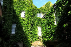 011.2025-06-10-11-Wells-Shepton-Mallet-Gillingham.-11-