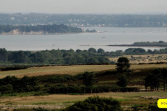 015.2025-06-21-Poole-Harbour.-15-Poole-Harbour-from-the-Purbeck-Hills