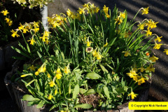035.2025-03-01-SR-on-trhe-first-day-of-Spring.-35-