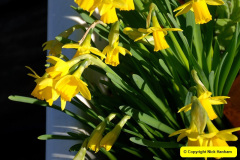 036.2025-03-01-SR-on-trhe-first-day-of-Spring.-36-