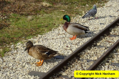 002.2025-03-08-A-circumnavigation-of-Poole-Park-plus-railway.-2