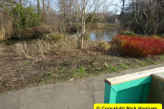 013.2025-03-08-A-circumnavigation-of-Poole-Park-plus-railway.-13