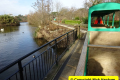 018.2025-03-08-A-circumnavigation-of-Poole-Park-plus-railway.-18