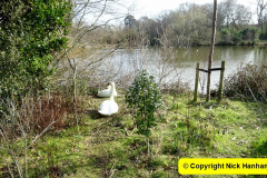 031.2025-03-08-A-circumnavigation-of-Poole-Park-plus-railway.-31
