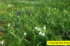 006.2025-03-08-A-circumnavigation-of-Poole-Park-plus-railway.-6-