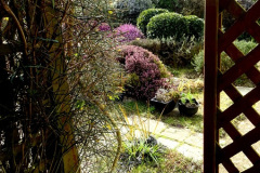 025.2025-03-09-A-Poole-Garden-in-Early-Spring.-25