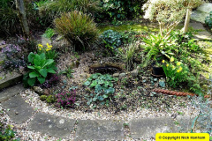 050.2025-03-09-A-Poole-Garden-in-Early-Spring.-50