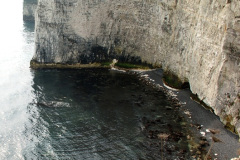 039.2025-03-10-Studland-Old-Harry-Rocks-Swanage.-39