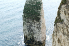 044.2025-03-10-Studland-Old-Harry-Rocks-Swanage.-44