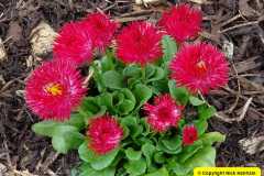 061.2025-03-11-Swanage-Dorset.-61-