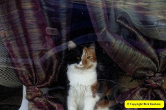 086.2025-03-11-Swanage-Dorset.-86-