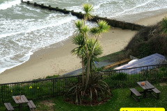113.2025-03-11-Swanage-Dorset.-113-