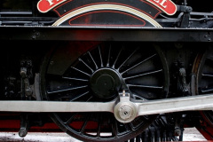 051.2025-03-24-SR-New-arrival-for-the-Steam-Gala.-51-
