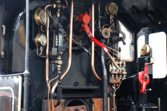 118.2025-03-24-SR-New-arrival-for-the-Steam-Gala.-118-