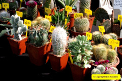 017.2025-05-03-Dorset-Spring-Show-Puddletown-Dorset.-17-