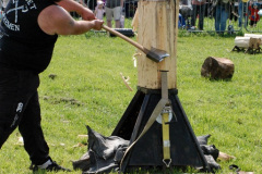 235.2025-05-03-Dorset-Spring-Show-Puddletown-Dorset.-235-