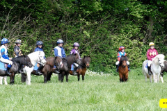 259.2025-05-03-Dorset-Spring-Show-Puddletown-Dorset.-259-