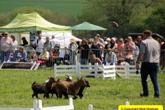 278.2025-05-03-Dorset-Spring-Show-Puddletown-Dorset.-278-