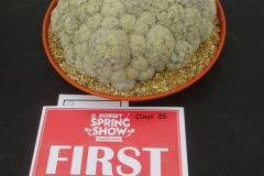 294.2025-05-03-Dorset-Spring-Show-Puddletown-Dorset.-294-