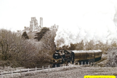 305.2025-05-03-Dorset-Spring-Show-Puddletown-Dorset.-305-
