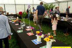306.2025-05-03-Dorset-Spring-Show-Puddletown-Dorset.-306-