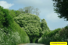 310.2025-05-03-Dorset-Spring-Show-Puddletown-Dorset.-310-