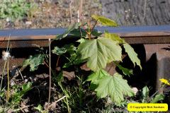 087.2025-05-09-SR-Diesel-Gala-Friday.-87-