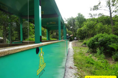 007.2025-05-19-Poole-Park-Railway.-7