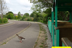 013.2025-05-19-Poole-Park-Railway.-13