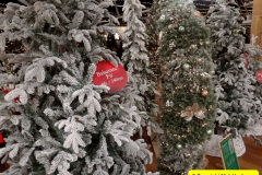 061.2025-10-13-to-15-New-Forest-Break.-61-Stewarts-Garden-Center-at-Christchurch.-