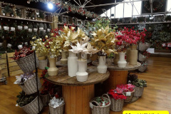 070.2025-10-13-to-15-New-Forest-Break.-70-Stewarts-Garden-Center-at-Christchurch.-