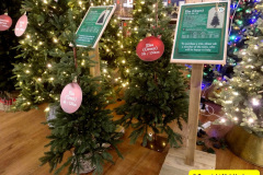 071.2025-10-13-to-15-New-Forest-Break.-71-Stewarts-Garden-Center-at-Christchurch.-