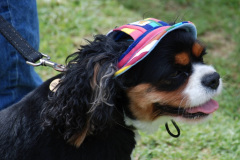 173.2025-09-06-Bridport-Hat-Festival-2025.-173-