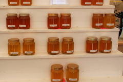 102.2025-09-06-Dorset-County-Show-Dorchester-Dorset.-102-