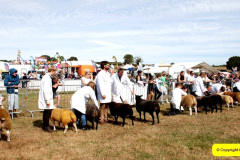 120.2025-09-06-Dorset-County-Show-Dorchester-Dorset.-120-