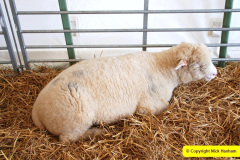 124.2025-09-06-Dorset-County-Show-Dorchester-Dorset.-124-