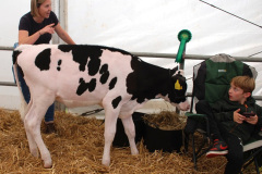 133.2025-09-06-Dorset-County-Show-Dorchester-Dorset.-133-