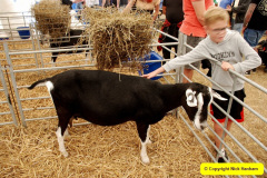 136.2025-09-06-Dorset-County-Show-Dorchester-Dorset.-136-