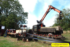 158.2025-09-06-Dorset-County-Show-Dorchester-Dorset.-158-