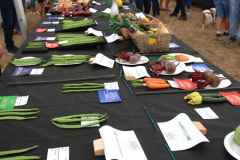 168.2025-09-06-Dorset-County-Show-Dorchester-Dorset.-168-