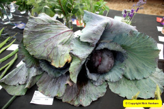 170.2025-09-06-Dorset-County-Show-Dorchester-Dorset.-170-