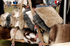 069.2025-09-06-Dorset-County-Show-Dorchester-Dorset.-69-