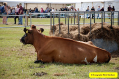 127.2025-09-06-Dorset-County-Show-Dorchester-Dorset.-127-