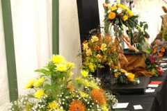 153.2025-09-06-Dorset-County-Show-Dorchester-Dorset.-153-