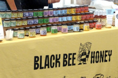 085.2025-09-14-Sturminster-Newton-Cheese-Festival-Dorset.-85-