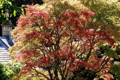 027.2025-09-22-to-24-Stourhead-Bradford-on-Avon.-27-