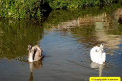 068.2025-09-22-to-24-Stourhead-Bradford-on-Avon.-68-