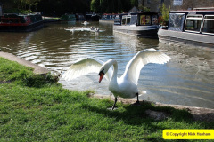 083.2025-09-22-to-24-Stourhead-Bradford-on-Avon.-83-