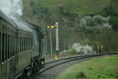 125.2026-04-04-SR-Peter-Rabbit-34072-Swanage-Norden-Swanage.-125