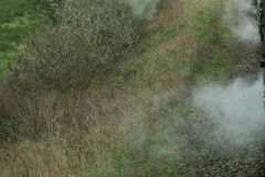 144.2026-04-04-SR-Peter-Rabbit-34072-Swanage-Norden-Swanage.-144